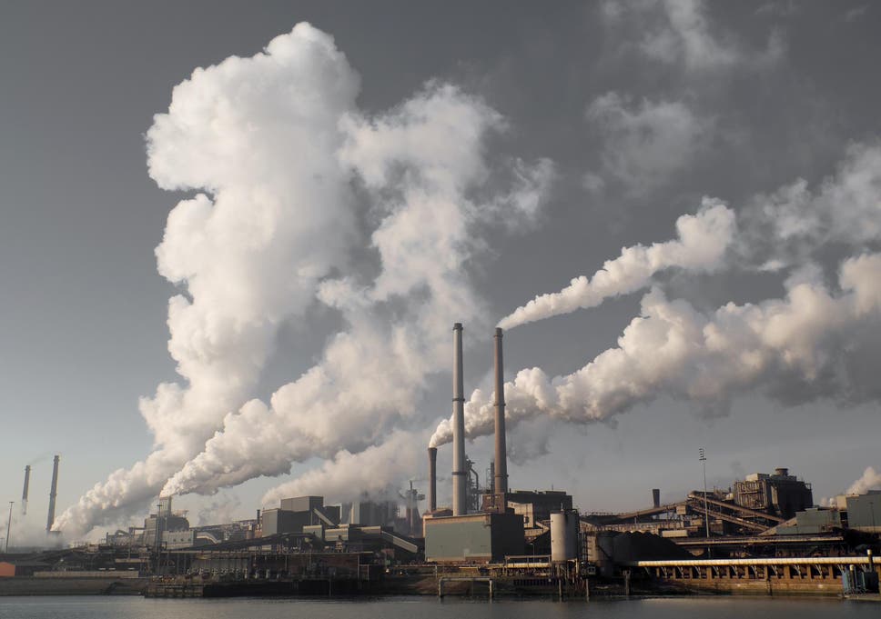 1595166535242175.jpg 1.jpg